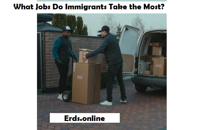 What Jobs Do Immigrants Take the Most What Jobs Do Immigrants Take the Most
